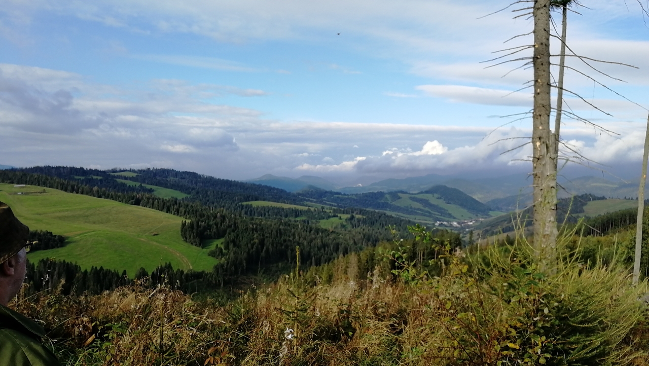 Mláky