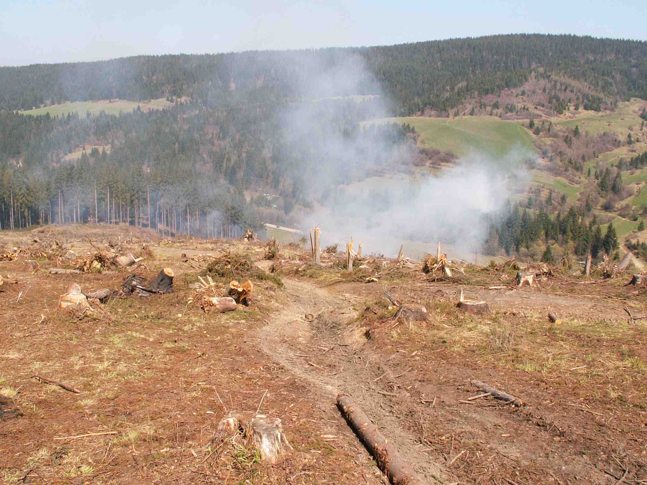 Horný Háj - Kalamita 2005