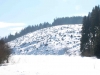 Horný Háj - Kalamita 2005 zima
