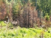 Hájik