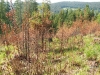 Hájik