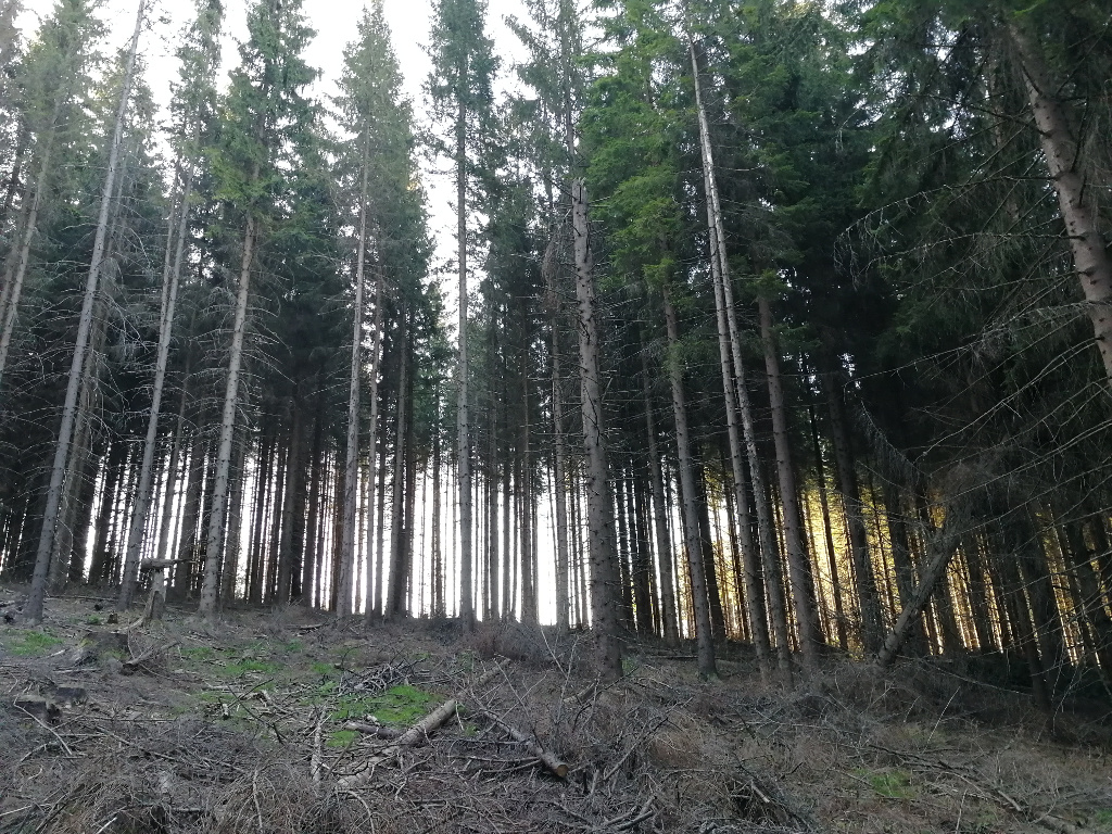 Mnich_2018
