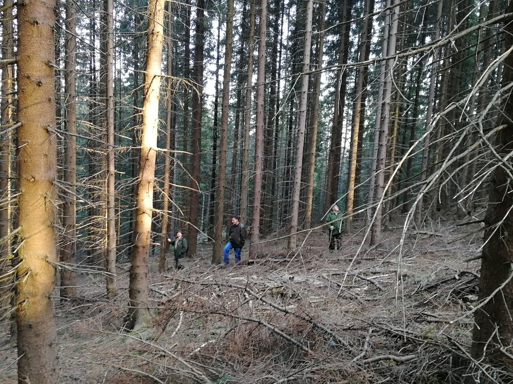 Mnich_2018