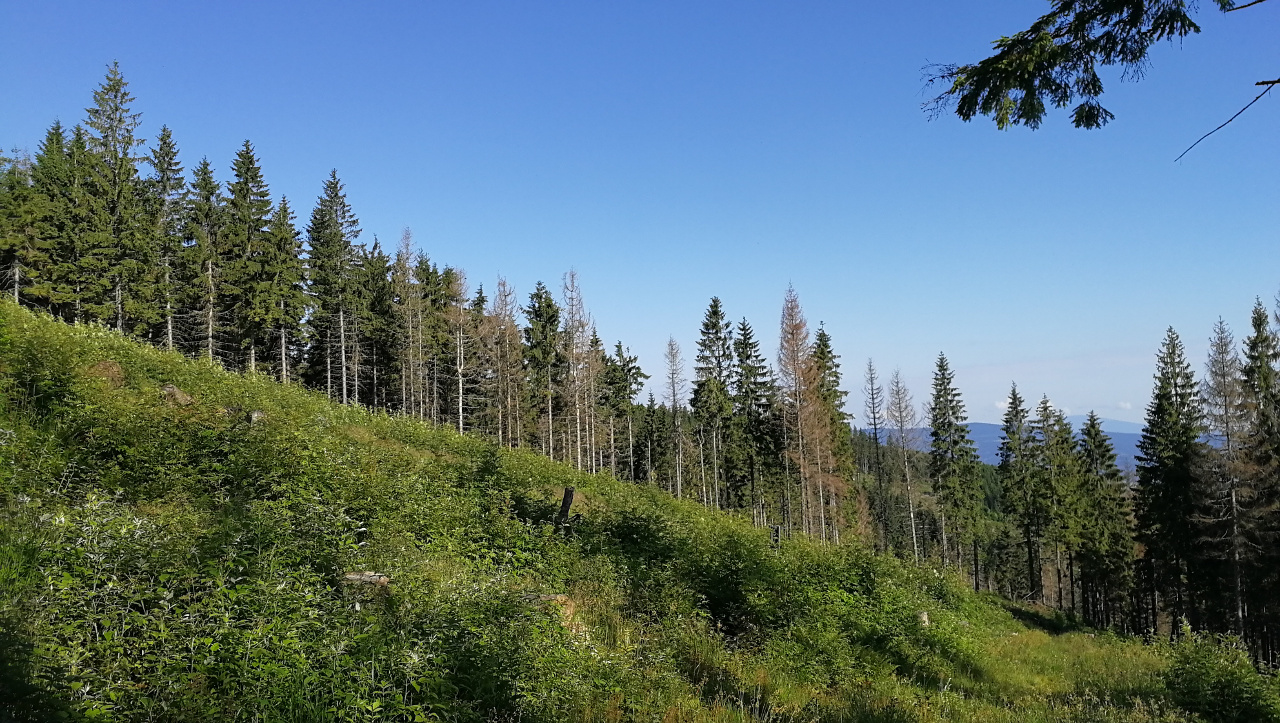 Pod Kopcom 06-2018
