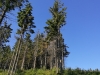Pod Kopcom 06-2018