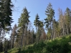 Pod Kopcom 06-2018