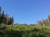 Pod Kopcom 06-2018