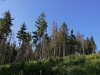 Pod Kopcom 06-2018