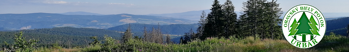 hlavicka1